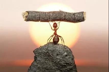 【亿企赢堂】约客户，就是要做到胆大心细脸皮厚！