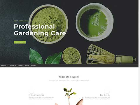 【A0017】绿色植被